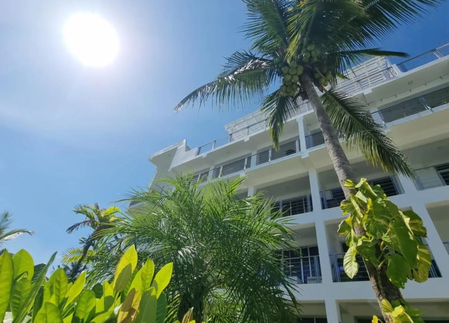 Encuentro Studio Surf Kitesurf Residencia Aris Cabarete Repubblica Dominicana